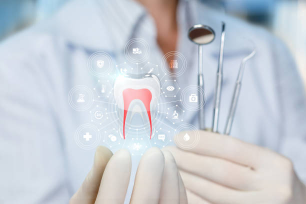 Why Choose Us for Your Dental Needs in Gulfport, FL