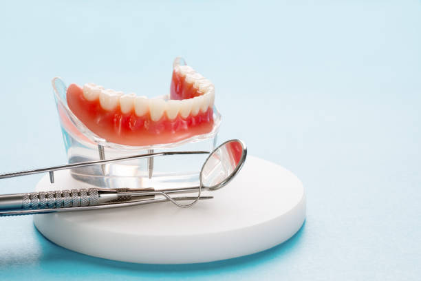 Best Veneers and Lumineers  in Gulfport, FL